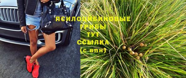 ALPHA PVP Остров