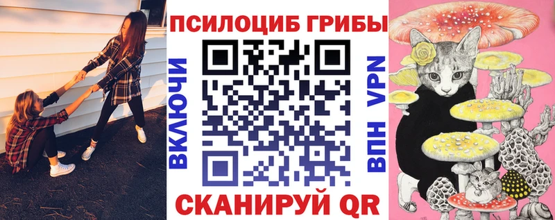 Галлюциногенные грибы Psilocybe  Правдинск 